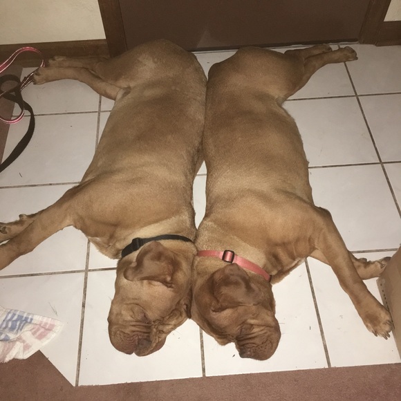 Meet your Posher, MaryBeth - Picture 1 of 1